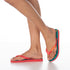 Havaianas Top Logomania ii 4145741 - BorsaBella