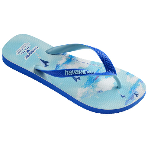 Havaianas 4147603 - HAV. GERANDO FALCOES